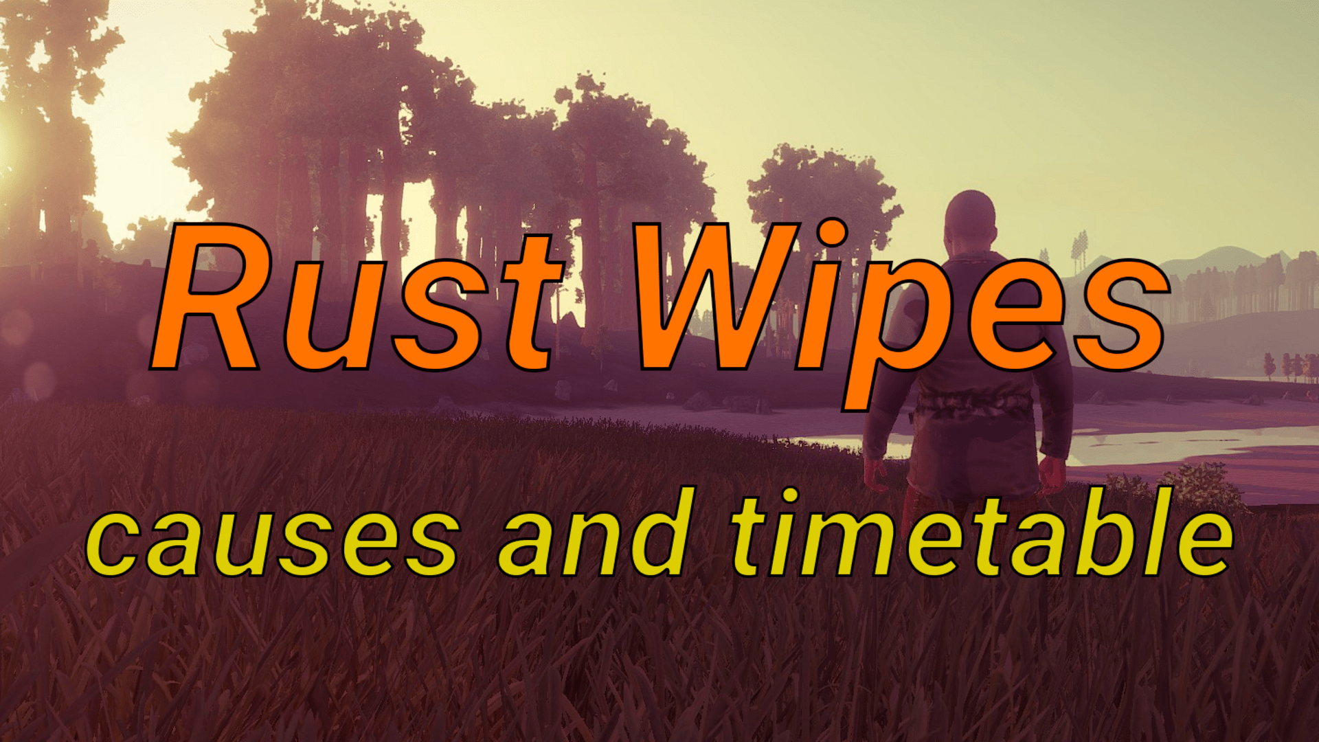 Wipes on Rust servers - schedule, causes and types