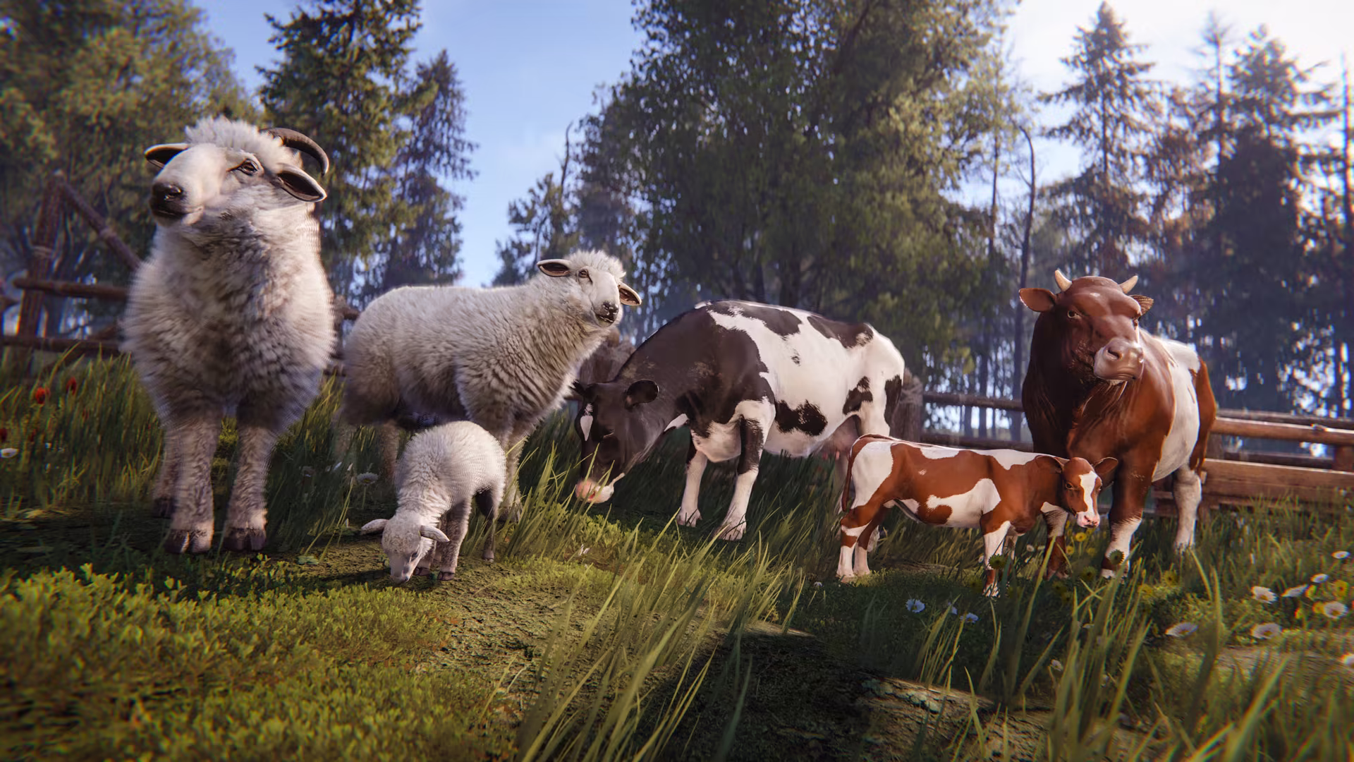 03_oct2026_livestock_animals_cows_sheep_2_1080_1_