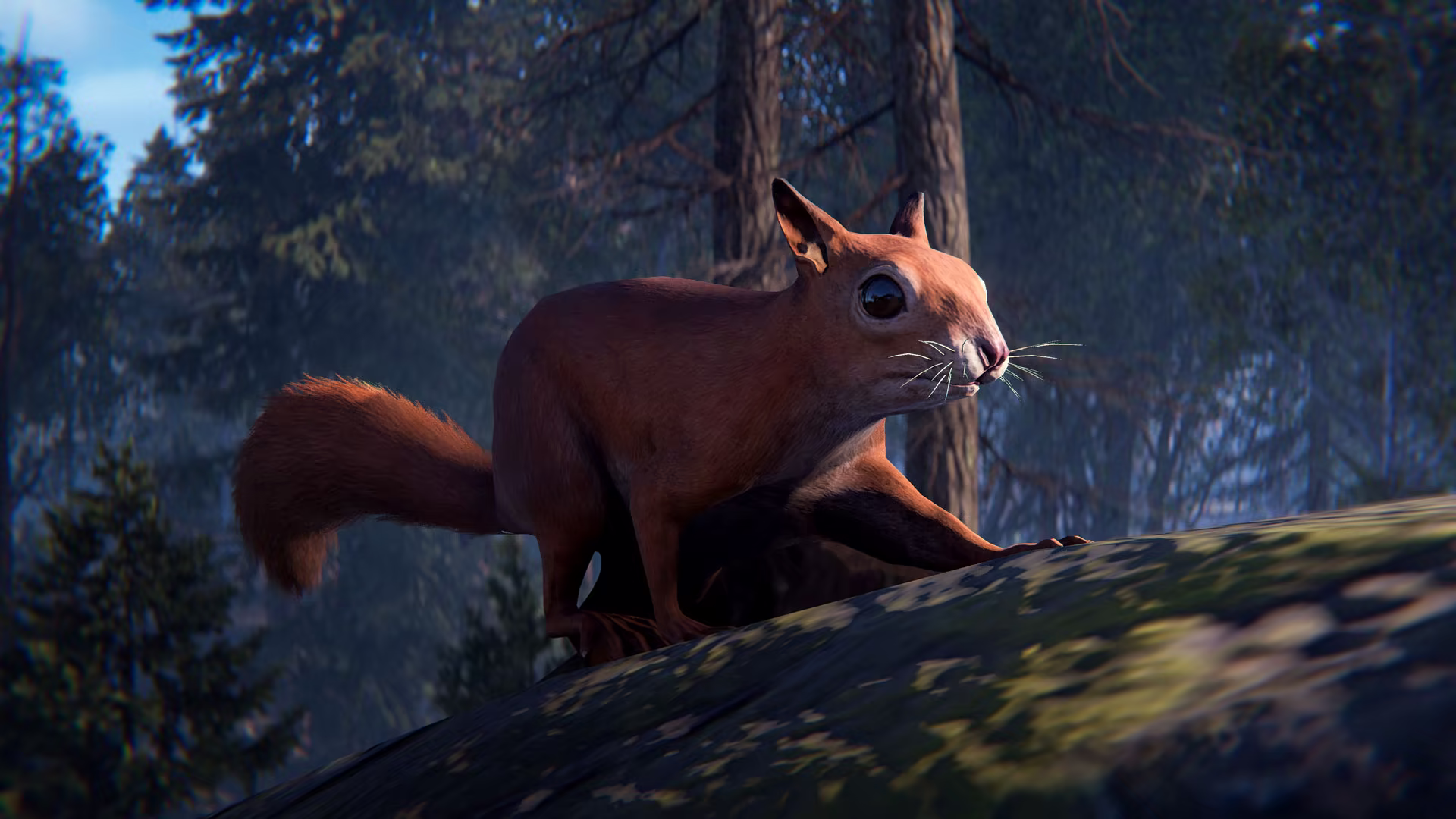 13_rust_squirrel_2_1080