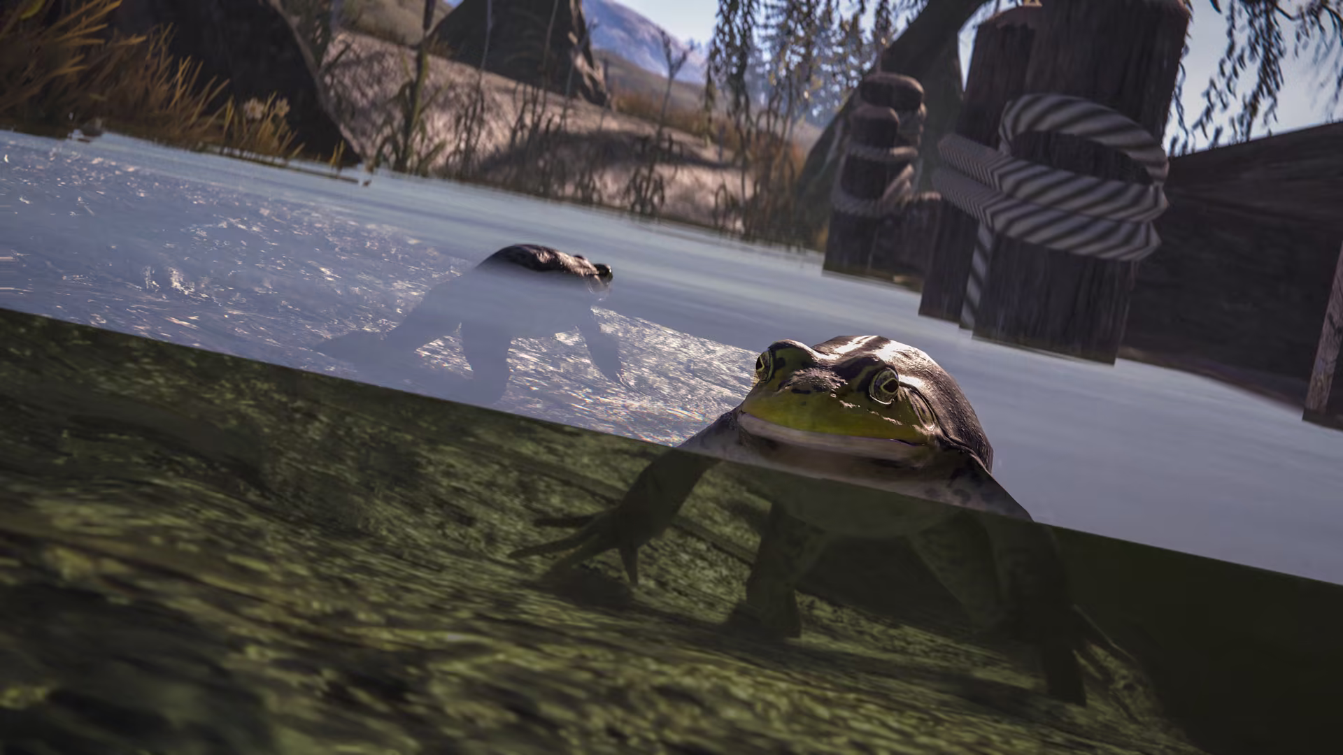 14_oct2026_Decorativel_animals_frogs_3_1080
