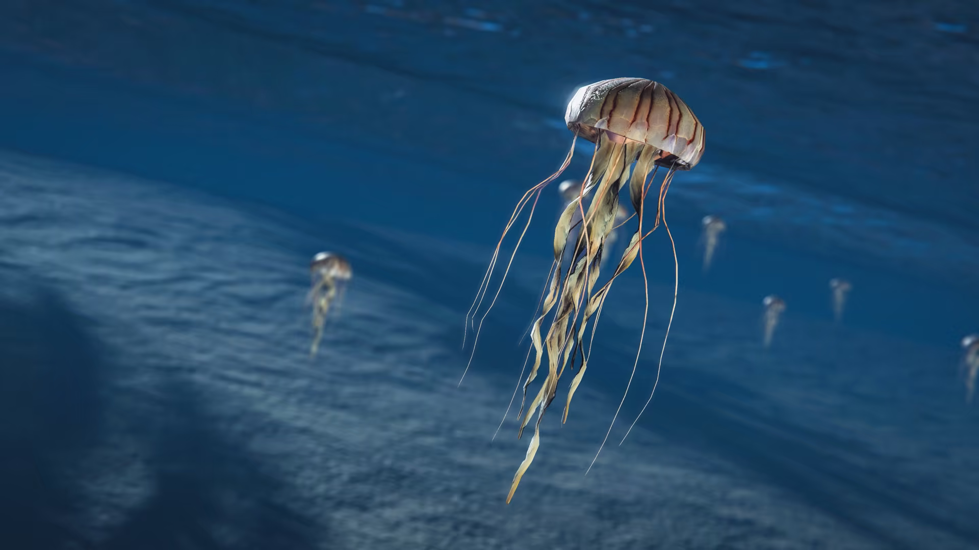 15_oct2026_Decorativel_animals_jellyfish_2_1080