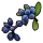 Blue Berry