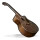 Acoustic Guitar