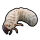 Grub