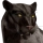 Panther