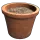 Single Plant Pot