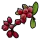 Red Berry