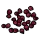 Red Berry Seed