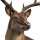 Stag