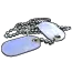 Blue Dog Tags