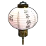 Chinese Lantern White