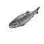Сельдь