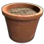 Single Plant Pot