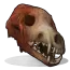 Wolf Skull