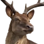 Stag