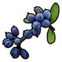 Blue Berry