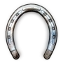 High Quality Horse Shoes