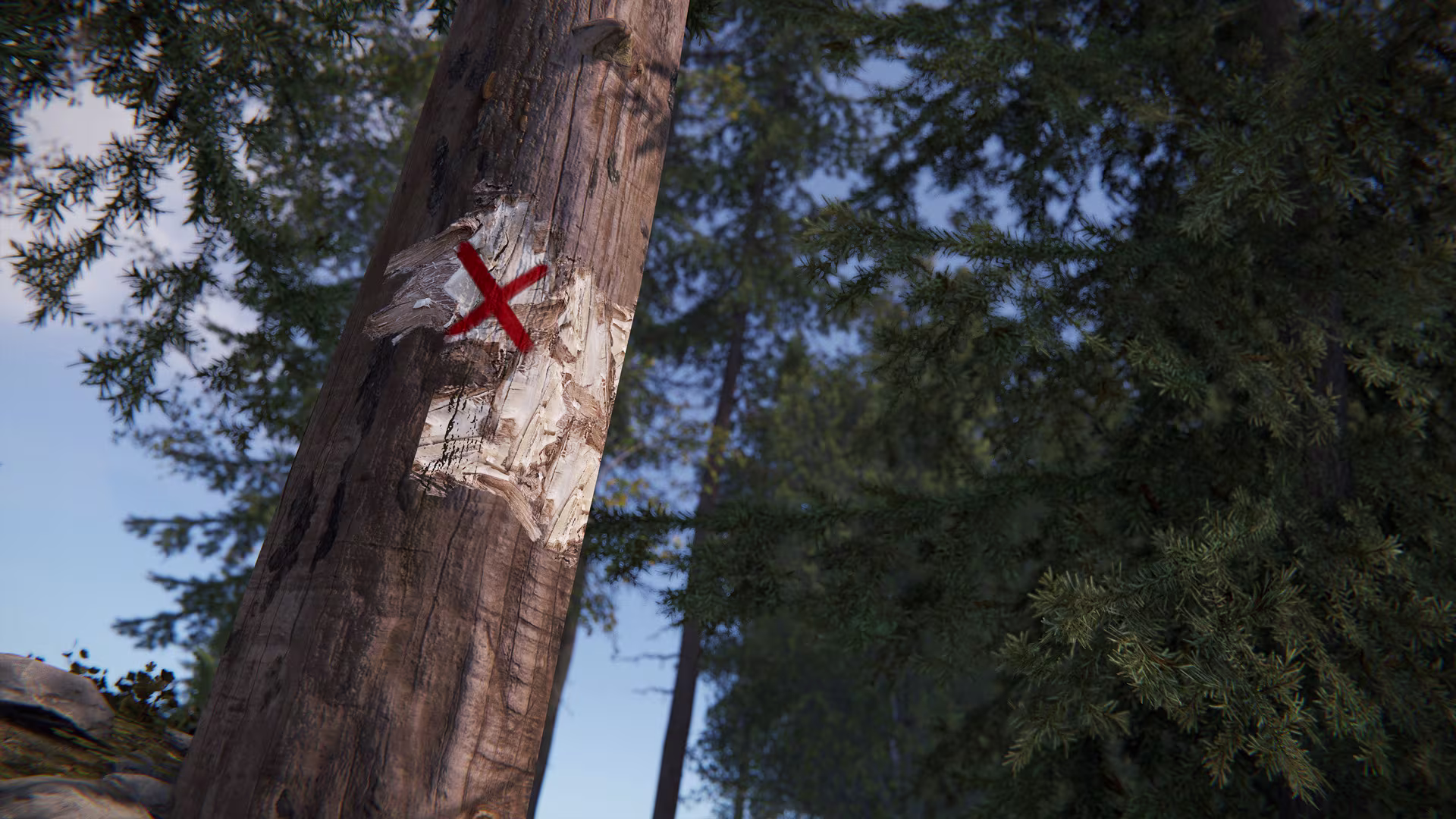apr2025_impactdecals_02_4k
