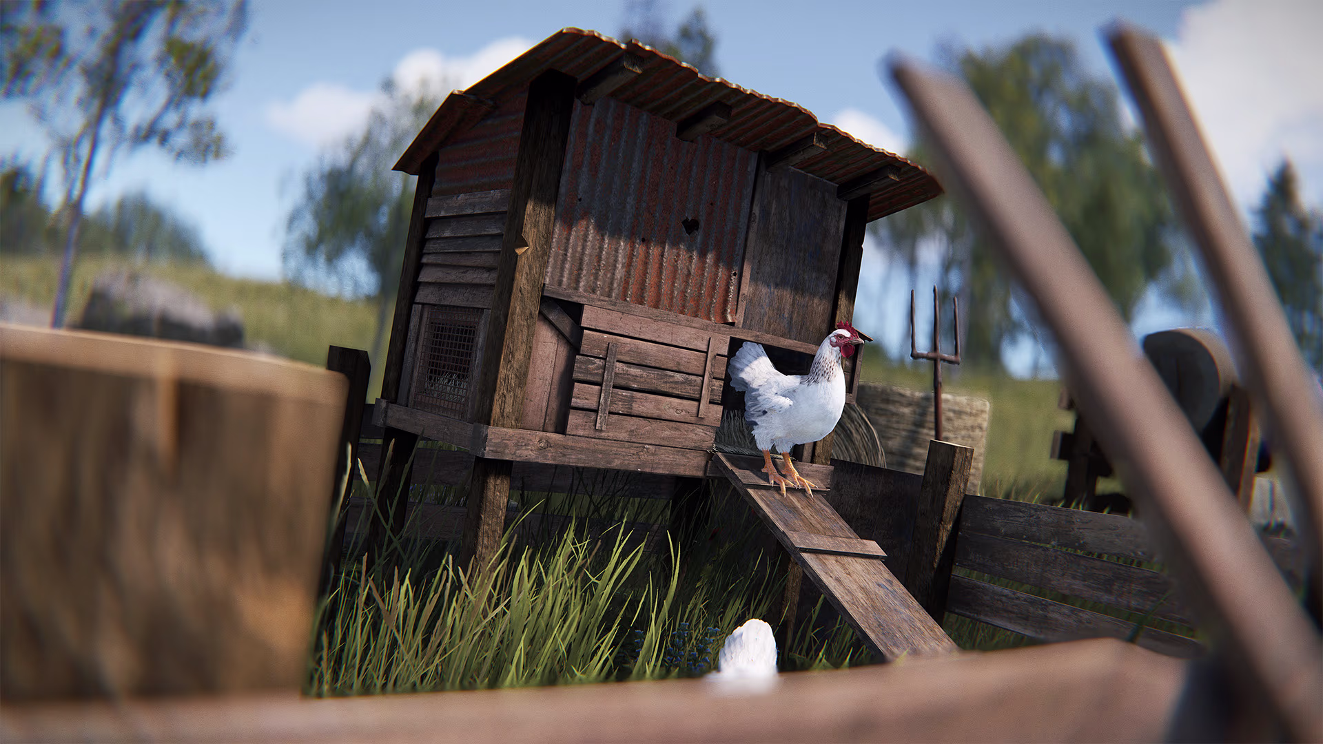 chickencoop_01