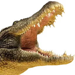 Предмет