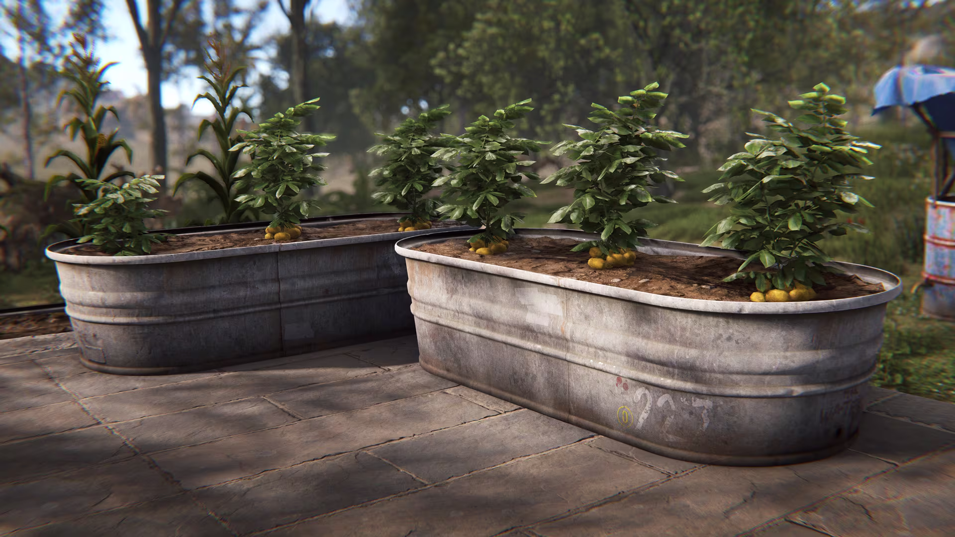decordlc_planter_bathtub_01