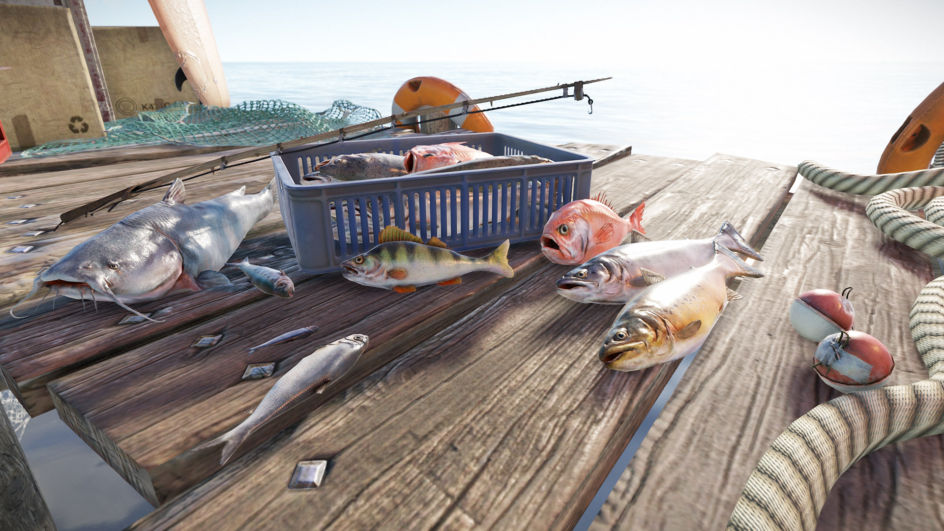 fish1