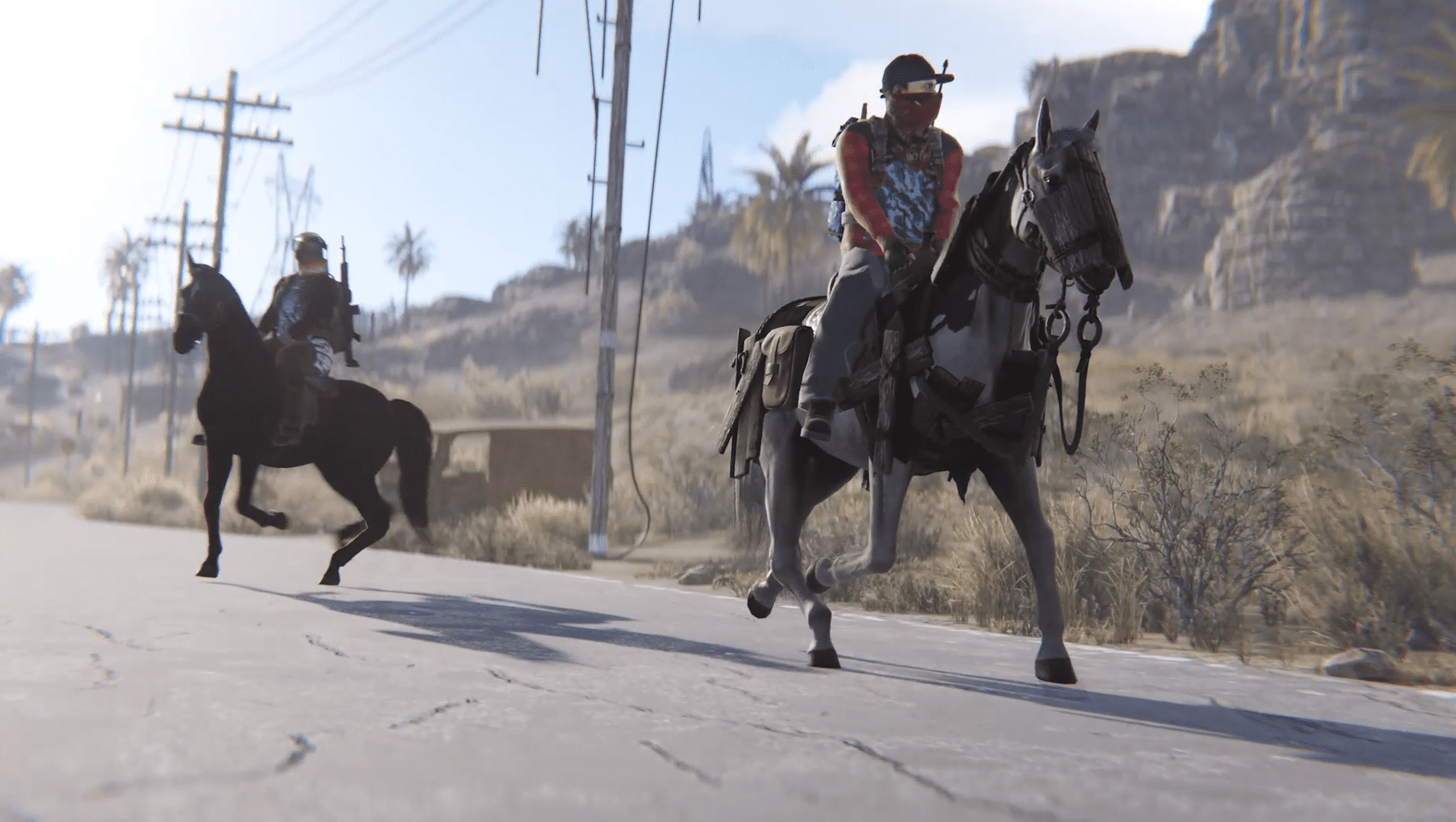 horse