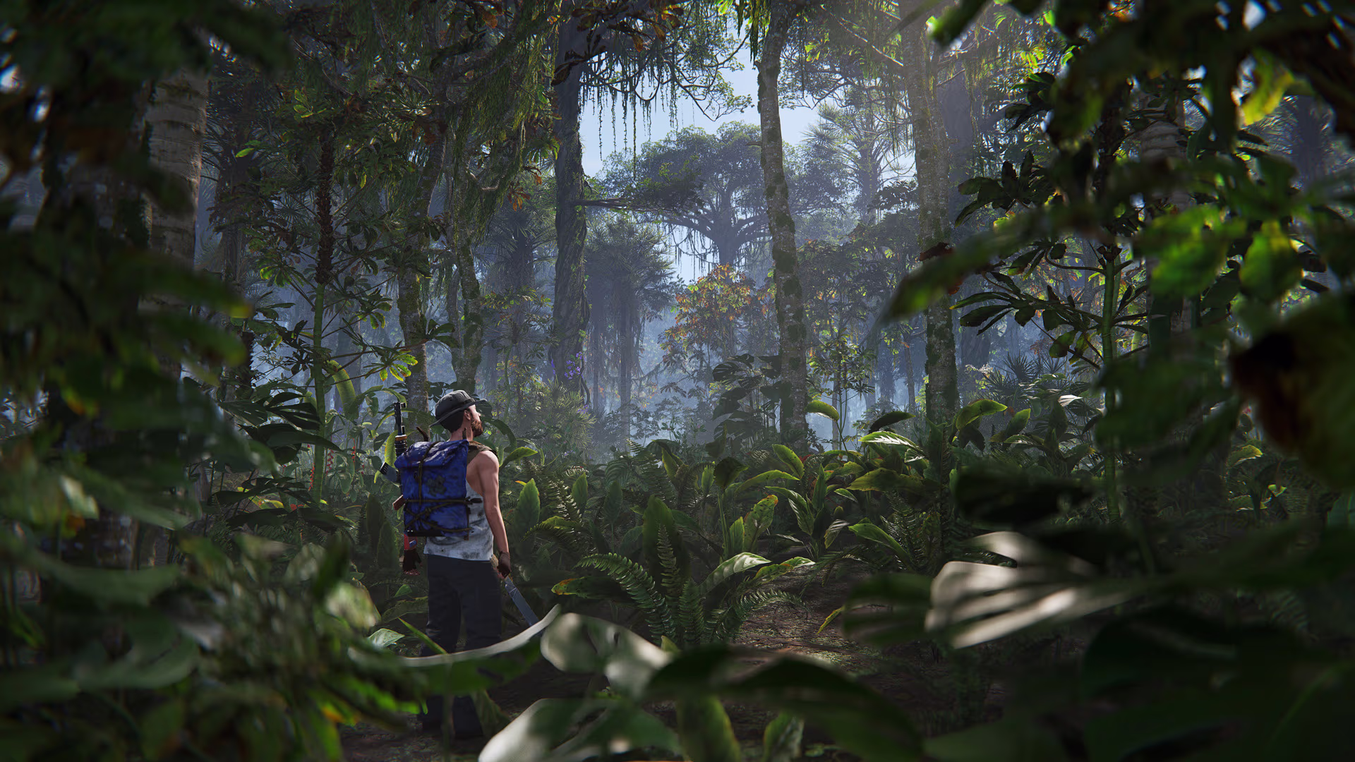 jungleUpdate_biome_02