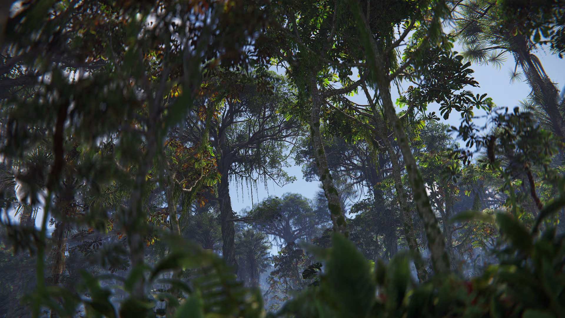 jungleUpdate_biome_03