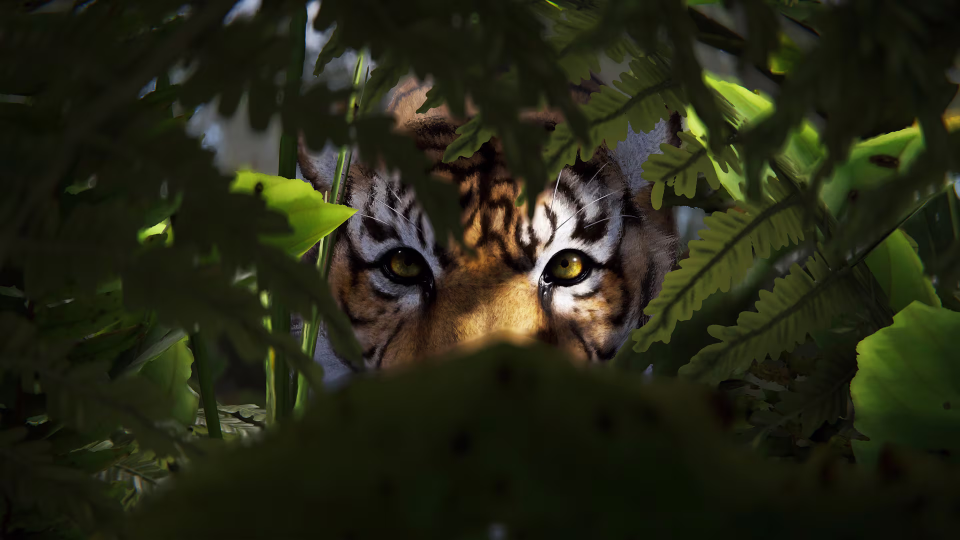 jungleUpdate_teaser_tiger_01