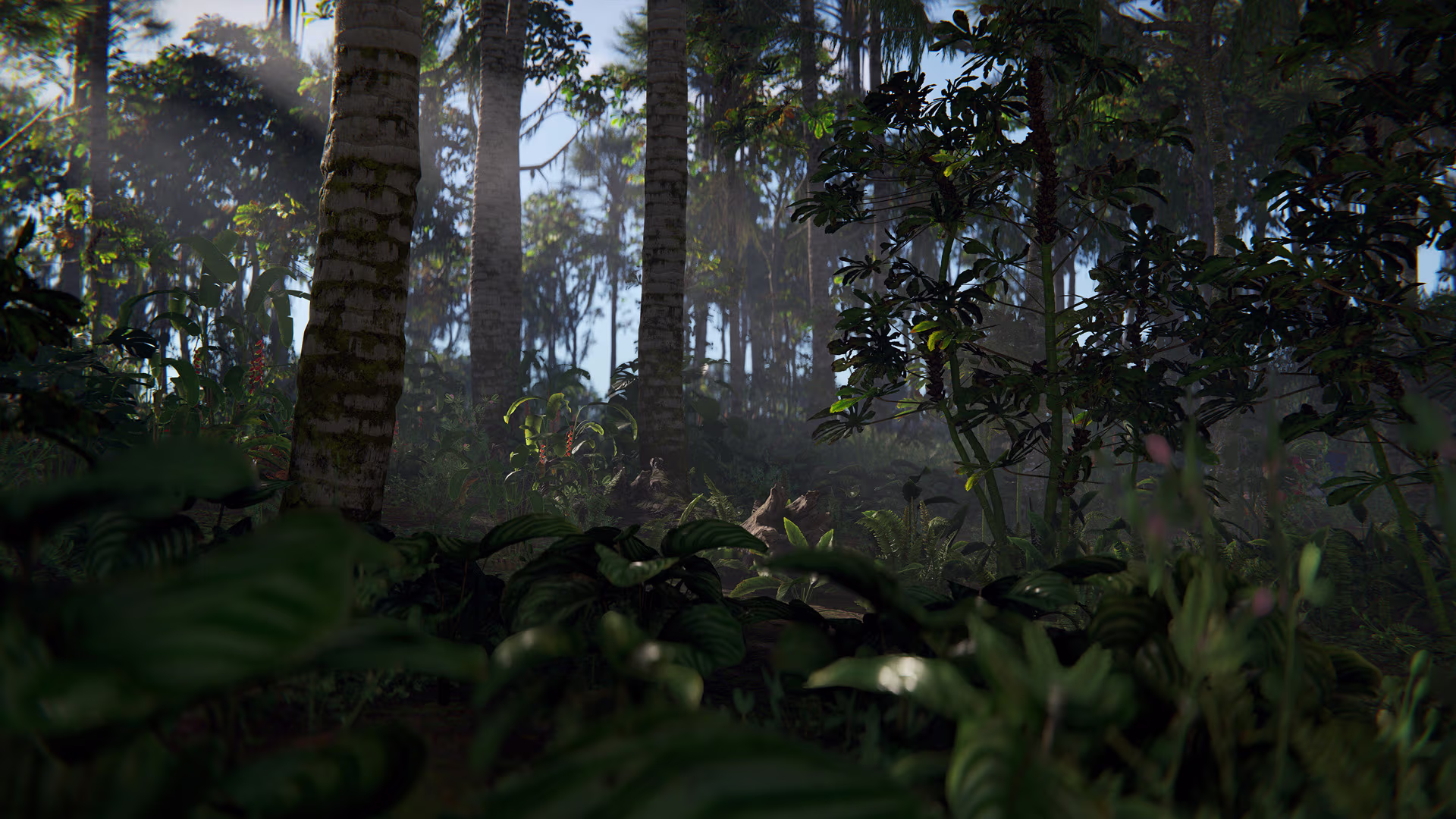 jungleUpdate_teaser_tiger_08