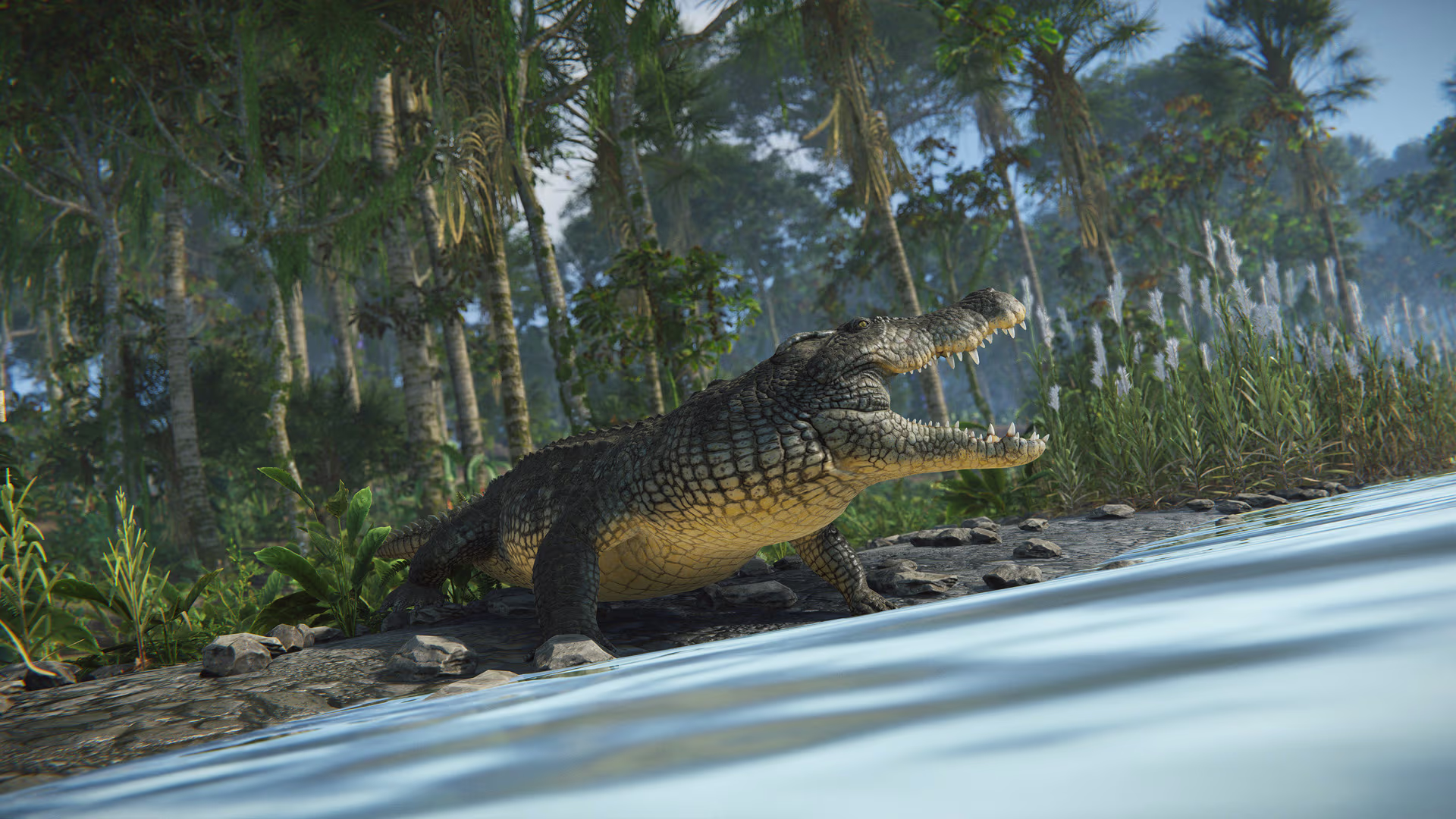 jungleupdate_crocodile_07