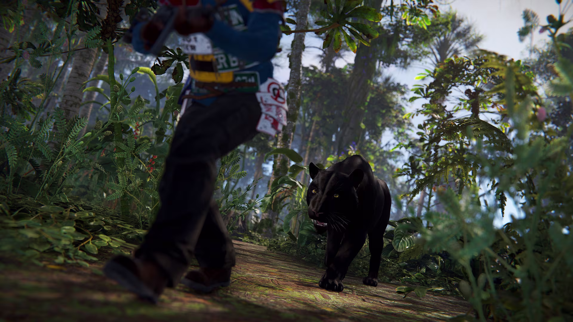 jungleupdate_panther_02