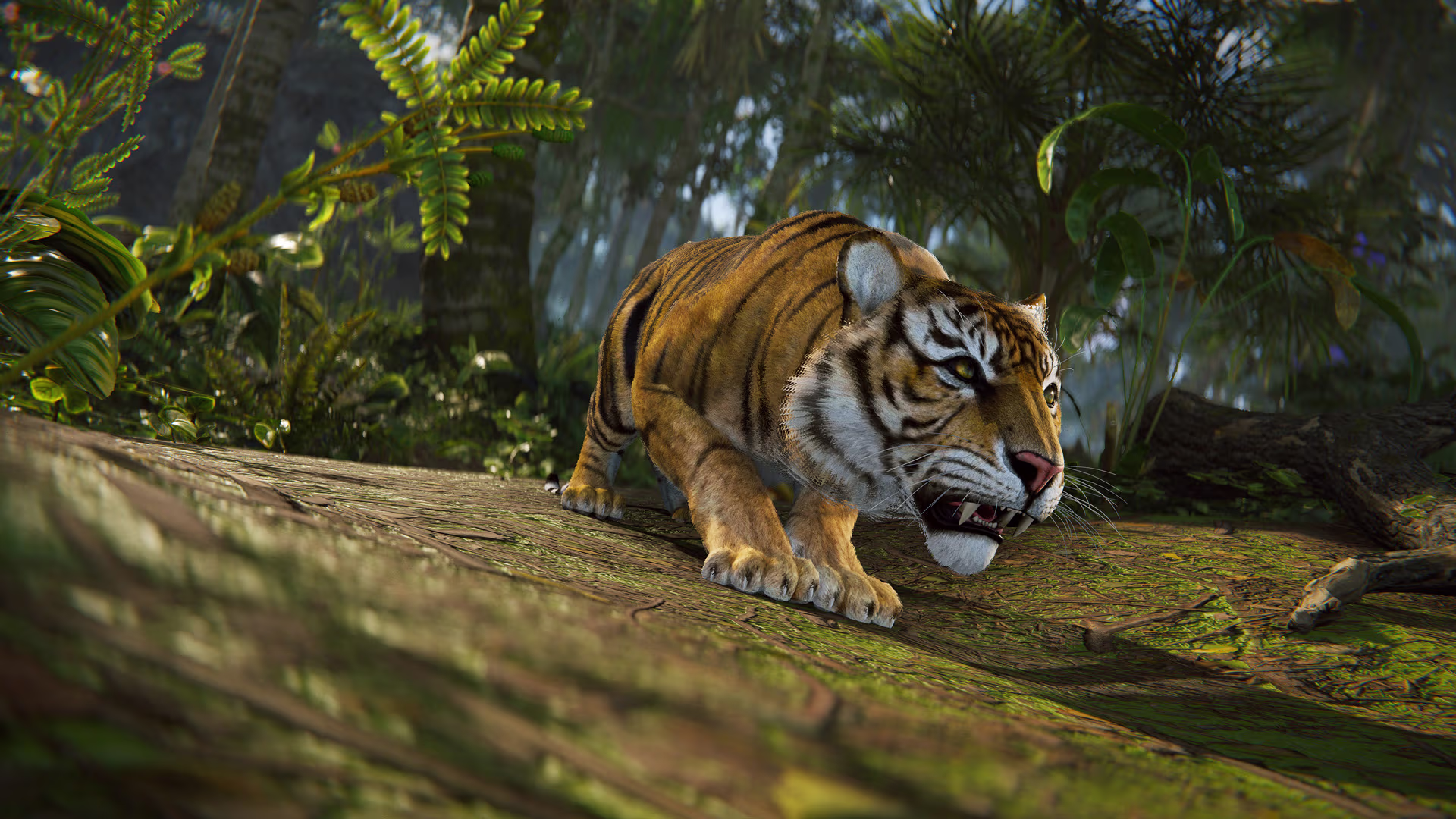 jungleupdate_tiger_04