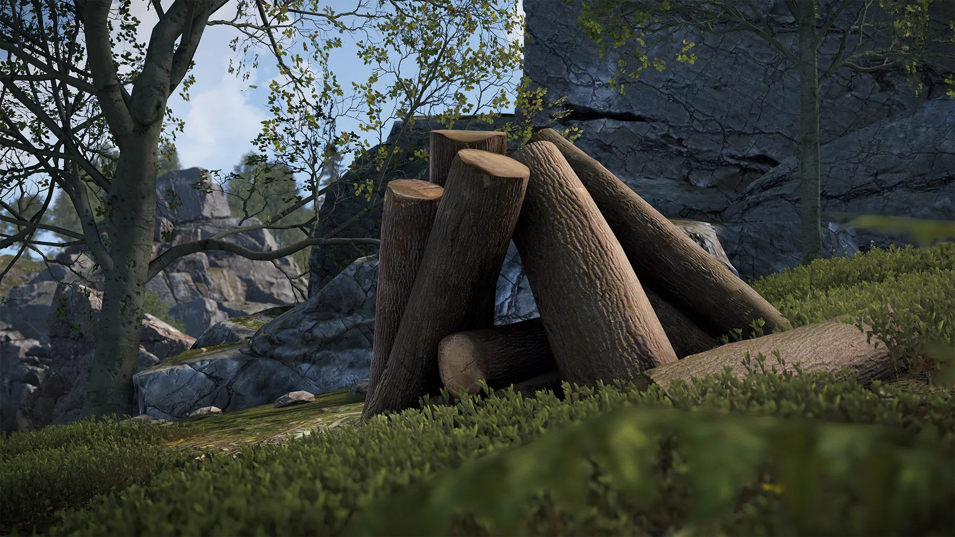 legacy_woodpile