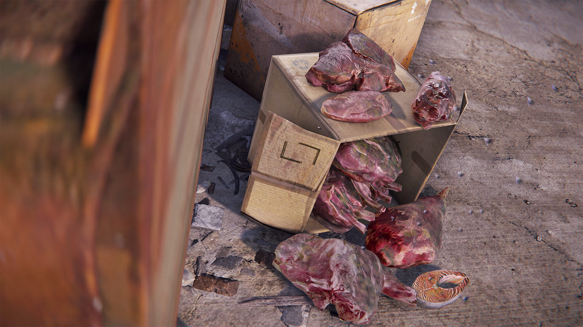 meat_spoiled_01