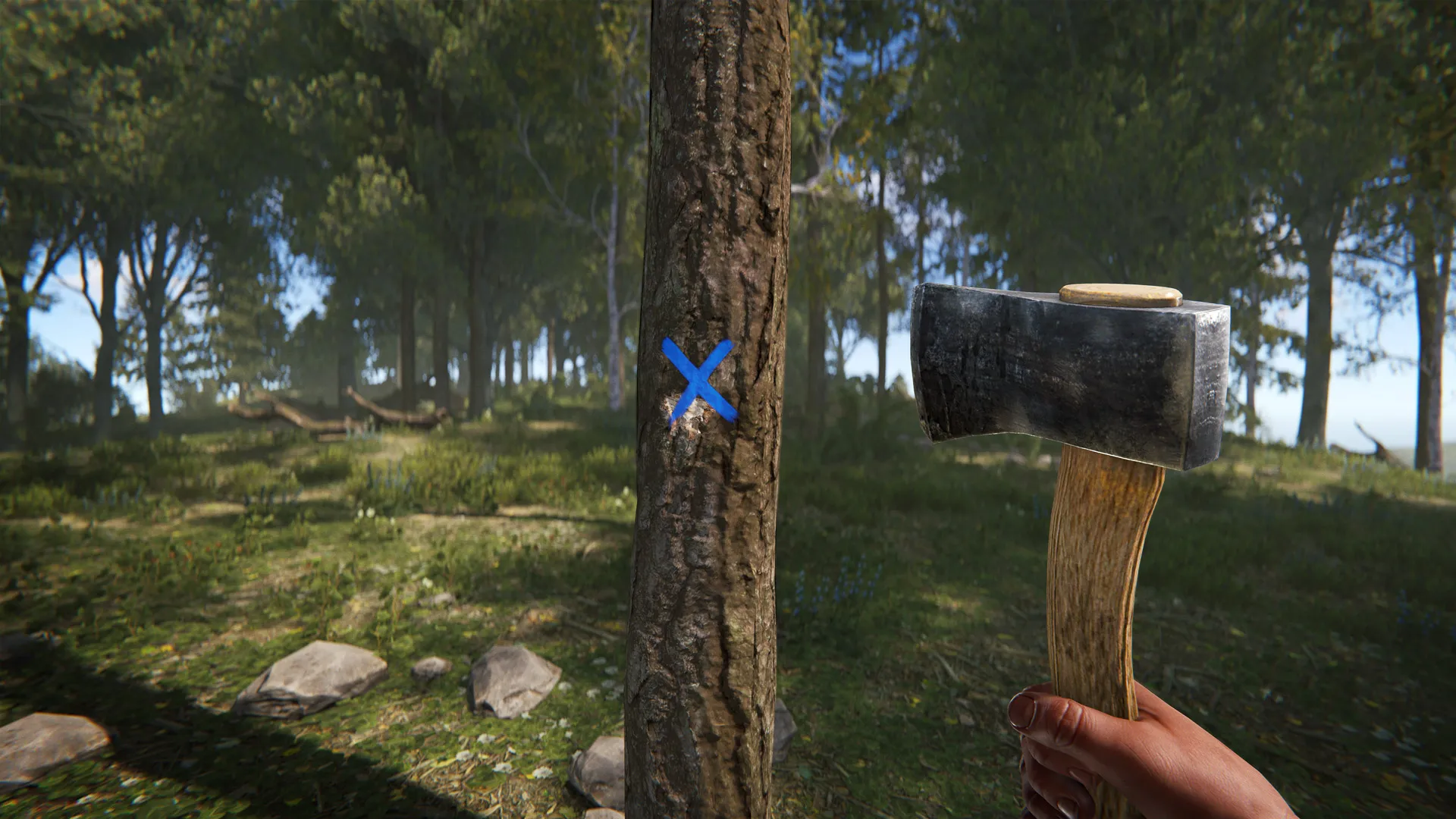 rust_accessibility_colours_treemarker