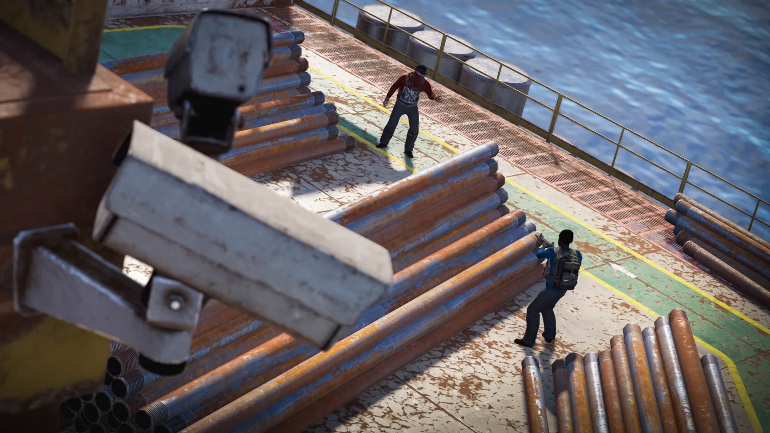 rust_cctv_hearing_1080