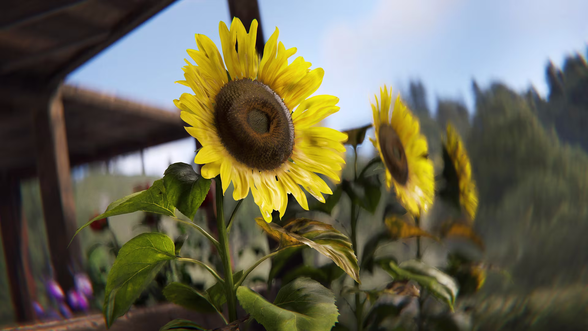 rust_flowers_potplants_02