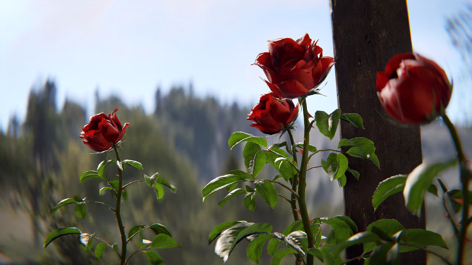rust_flowers_potplants_03
