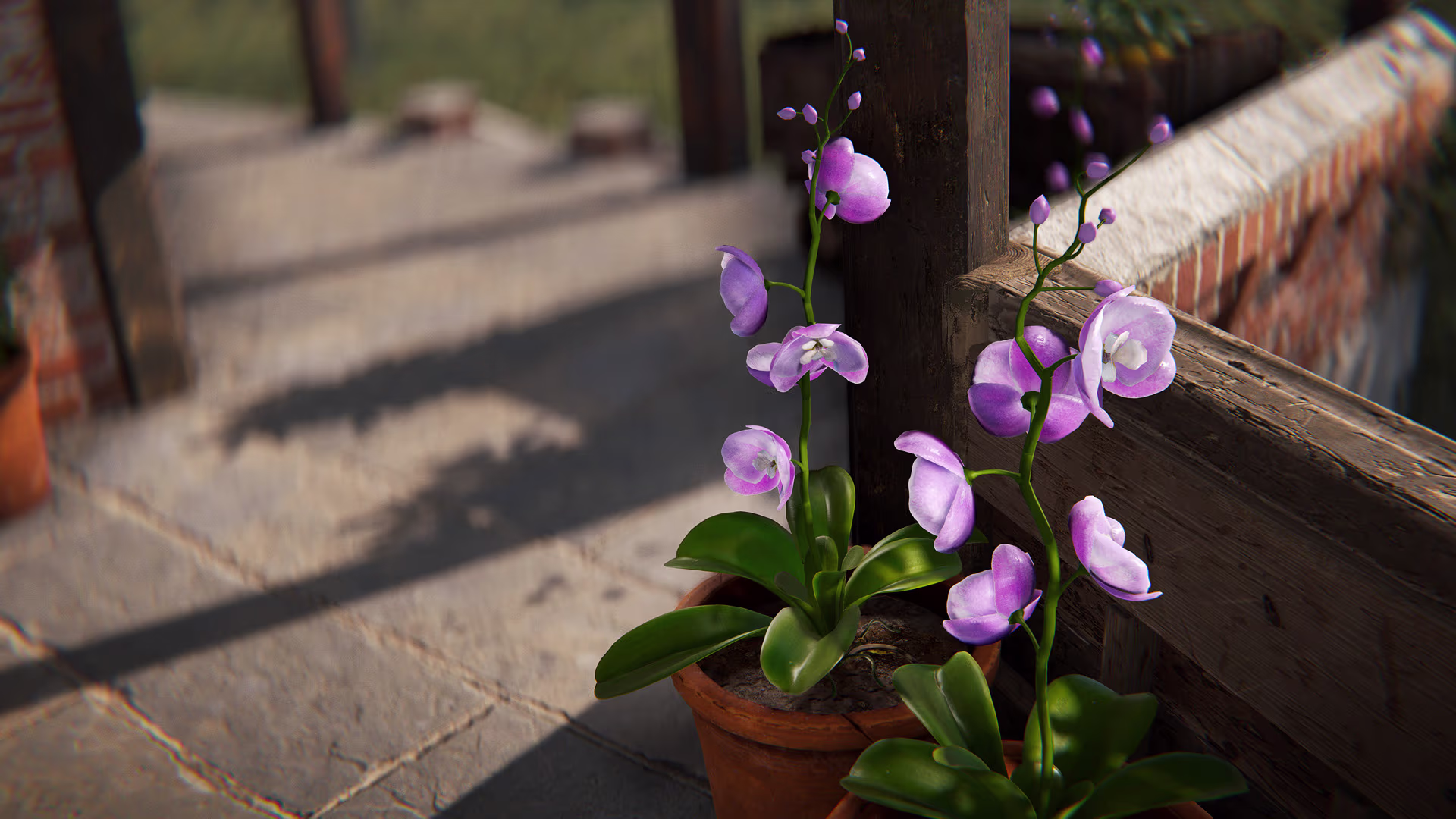 rust_flowers_potplants_04