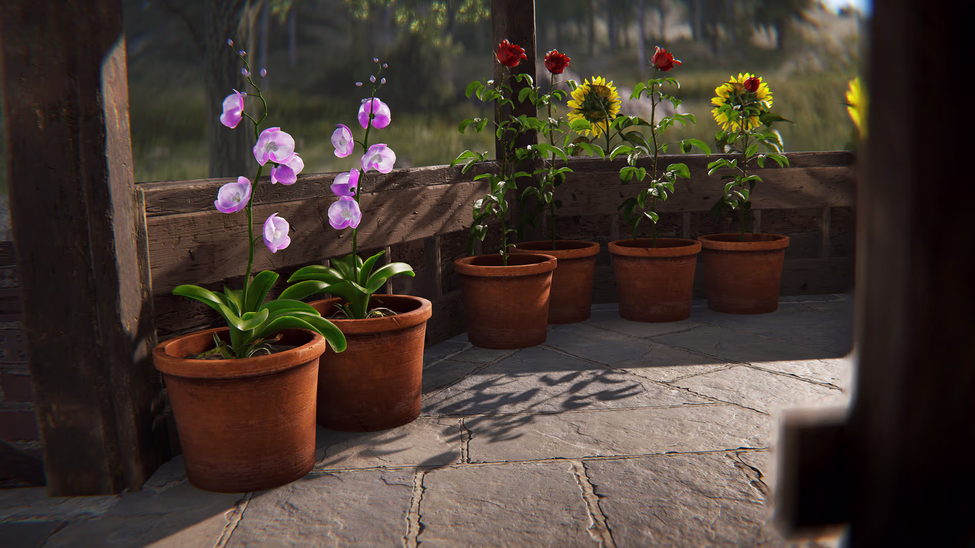 rust_flowers_potplants_05
