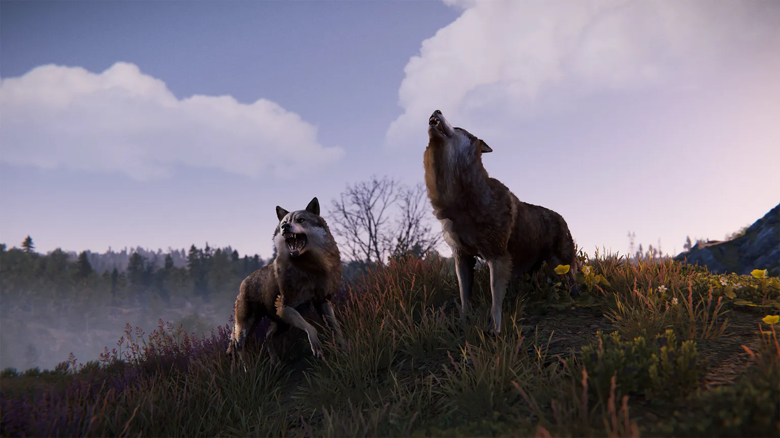 rust_november_wolves_03