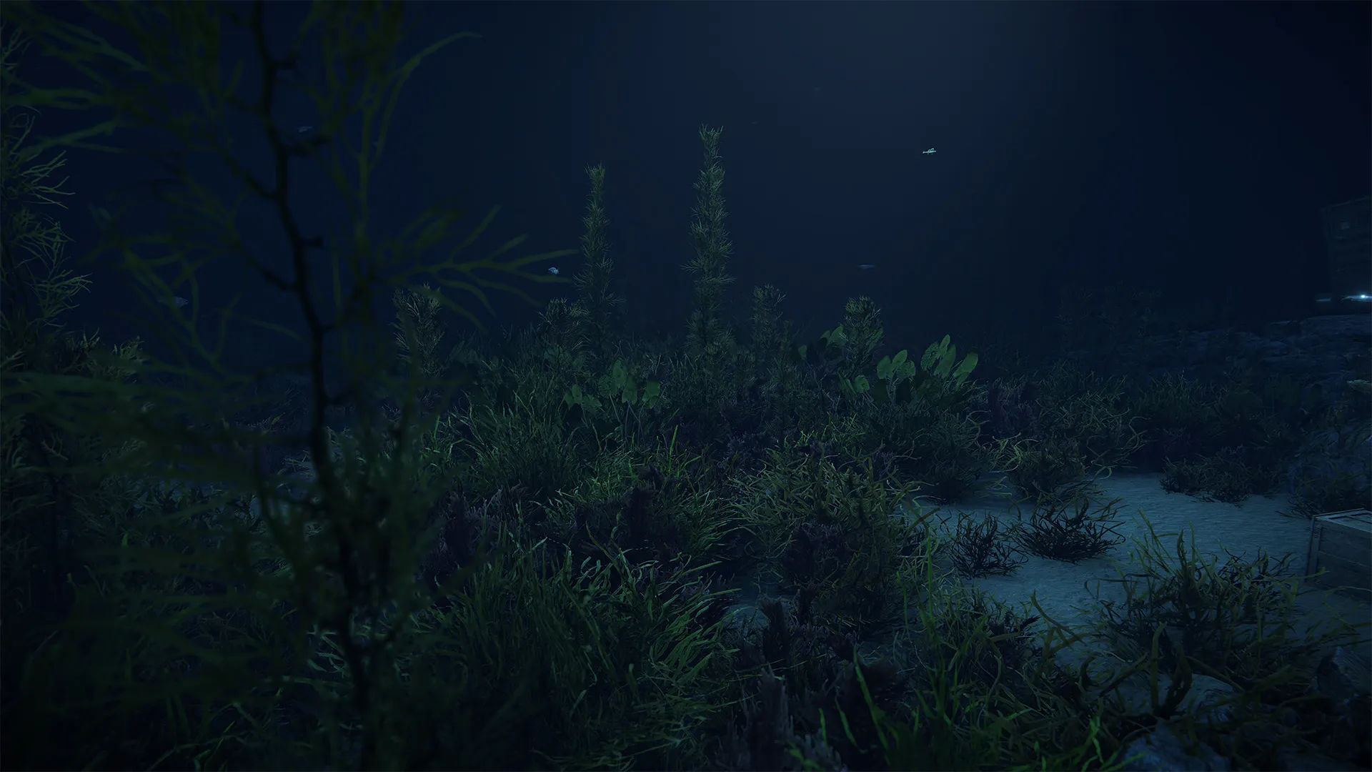rust_worldUpdate_diveSite_07_53