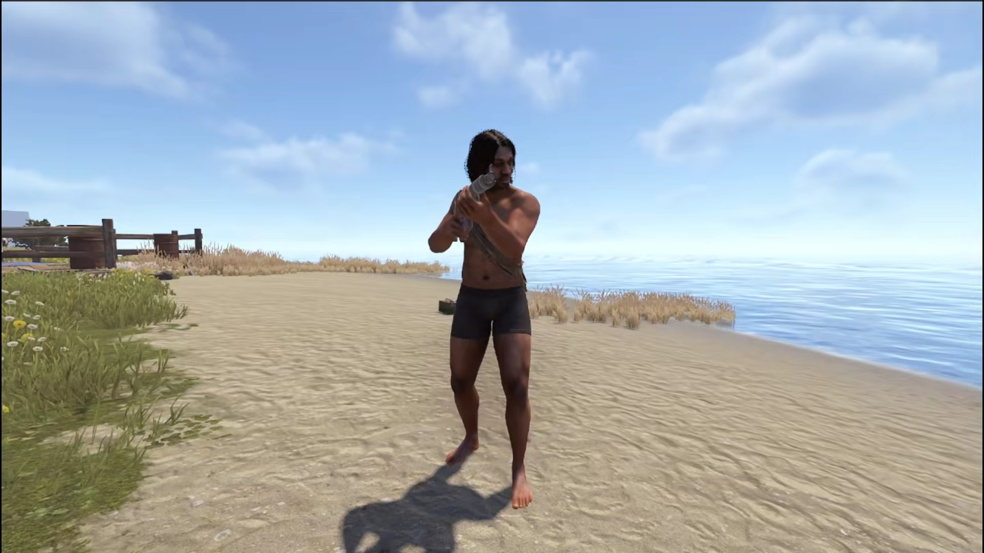 weaver_stance